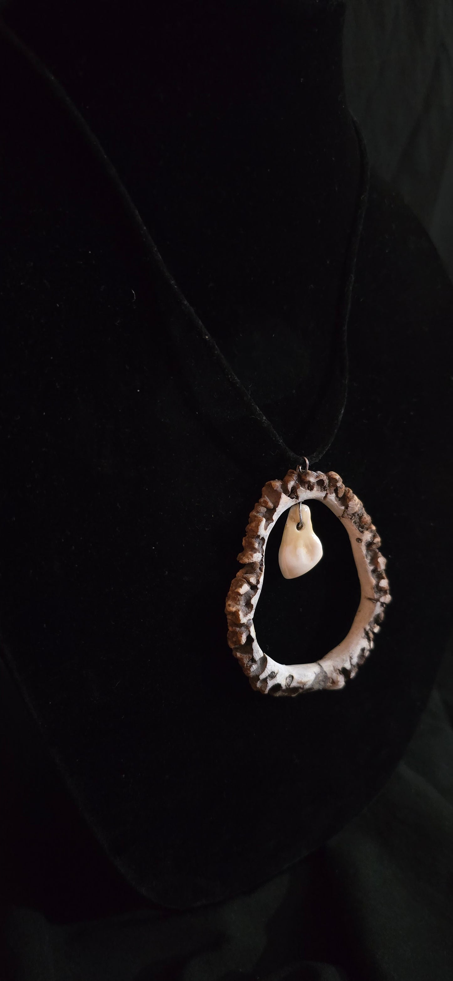 Elk Rosset with Ivory