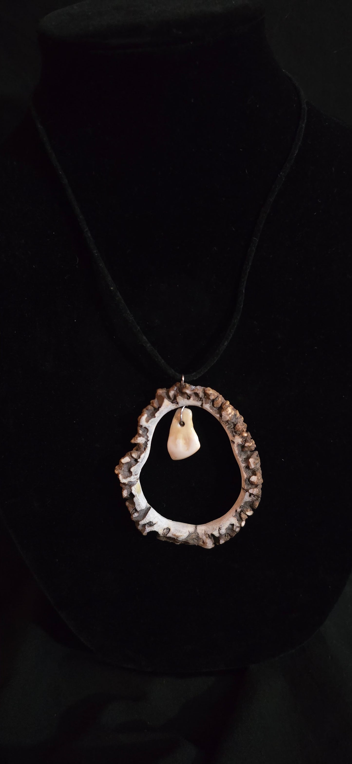 Elk Rosset with Ivory