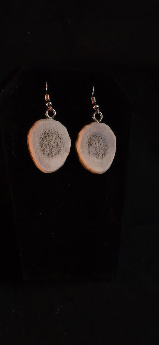 Antler Slab Earrings